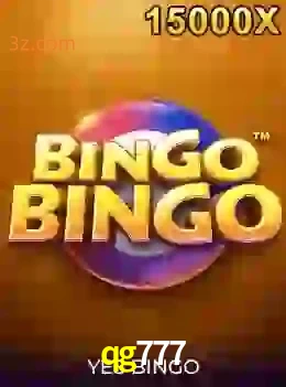 bingobingo